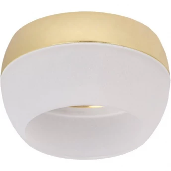 Накладной потолочный светильник IEK Lighting 4010 под лампу gx53 золото